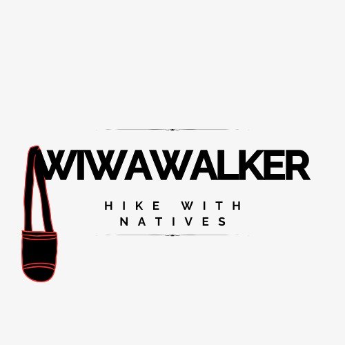 WiWalker